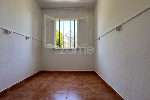 Farm i Rabo de Peixe, Sao Miguel, Rabo de Peixe - € 1.600.000 | Ref: ZMPT570586 - foto 22