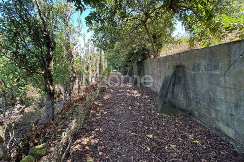 Farm i Rabo de Peixe, Sao Miguel, Rabo de Peixe - € 1.600.000 | Ref: ZMPT570586 - foto 33