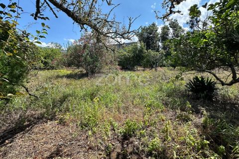 Farm i Rabo de Peixe, Sao Miguel, Rabo de Peixe - € 1.600.000 | Ref: ZMPT570586 - foto 35