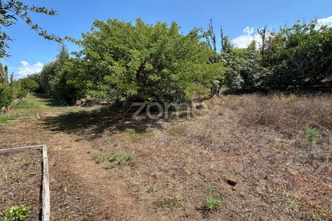 Farm i Rabo de Peixe, Sao Miguel, Rabo de Peixe - € 1.600.000 | Ref: ZMPT570586 - foto 37