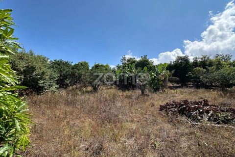 Farm i Rabo de Peixe, Sao Miguel, Rabo de Peixe - € 1.600.000 | Ref: ZMPT570586 - foto 38