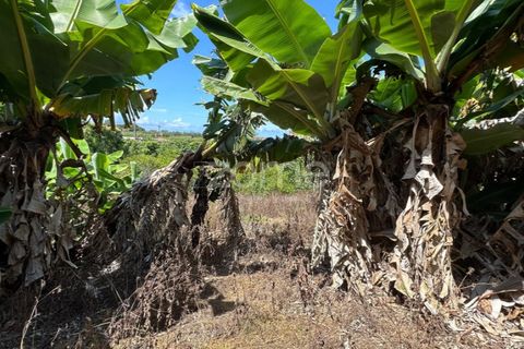 Farm i Rabo de Peixe, Sao Miguel, Rabo de Peixe - € 1.600.000 | Ref: ZMPT570586 - foto 42