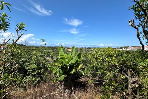 Farm i Rabo de Peixe, Sao Miguel, Rabo de Peixe - € 1.600.000 | Ref: ZMPT570586 - foto 43