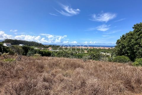 Farm i Rabo de Peixe, Sao Miguel, Rabo de Peixe - € 1.600.000 | Ref: ZMPT570586 - foto 44
