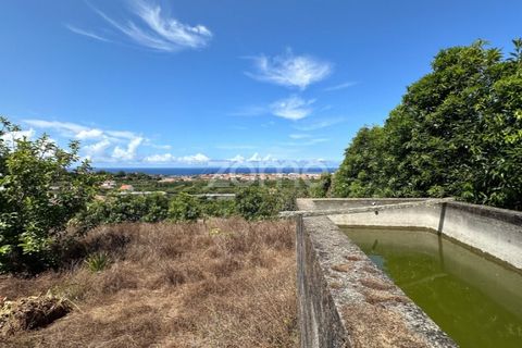 Farm i Rabo de Peixe, Sao Miguel, Rabo de Peixe - € 1.600.000 | Ref: ZMPT570586 - foto 45