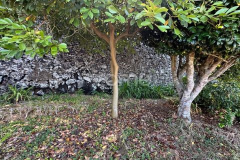 Farm i Rabo de Peixe, Sao Miguel, Rabo de Peixe - € 1.600.000 | Ref: ZMPT570586 - foto 46