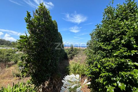 Farm i Rabo de Peixe, Sao Miguel, Rabo de Peixe - € 1.600.000 | Ref: ZMPT570586 - foto 47