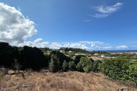 Farm i Rabo de Peixe, Sao Miguel, Rabo de Peixe - € 1.600.000 | Ref: ZMPT570586 - foto 48