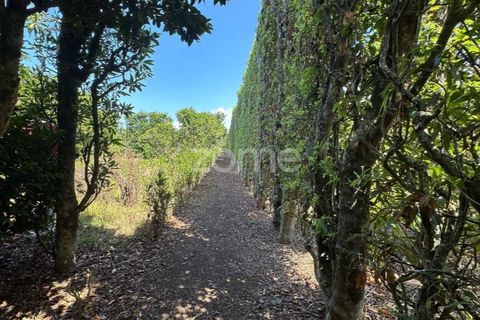Farm i Rabo de Peixe, Sao Miguel, Rabo de Peixe - € 1.600.000 | Ref: ZMPT570586 - foto 1