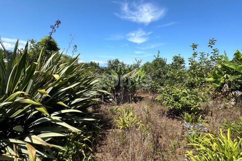 Farm i Rabo de Peixe, Sao Miguel, Rabo de Peixe - € 1.600.000 | Ref: ZMPT570586 - foto 49