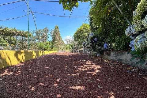 Farm i Rabo de Peixe, Sao Miguel, Rabo de Peixe - € 1.600.000 | Ref: ZMPT570586 - foto 30