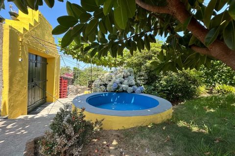 Farm i Rabo de Peixe, Sao Miguel, Rabo de Peixe - € 1.600.000 | Ref: ZMPT570586 - foto 26