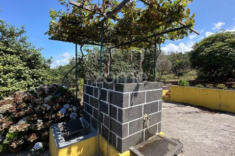 Farm i Rabo de Peixe, Sao Miguel, Rabo de Peixe - € 1.600.000 | Ref: ZMPT570586 - foto 29