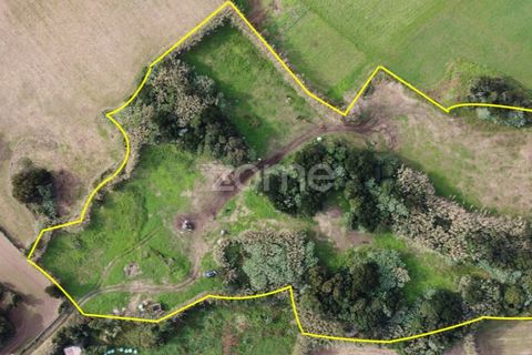 Terra a Ribeirinha, Sao Miguel, Ribeirinha - € 180.000 | Ref: ZMPT562939 - foto 2