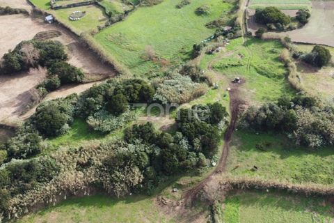 Terra a Ribeirinha, Sao Miguel, Ribeirinha - € 180.000 | Ref: ZMPT562939 - foto 4