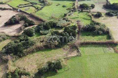 Terra a Ribeirinha, Sao Miguel, Ribeirinha - € 180.000 | Ref: ZMPT562939 - foto 5