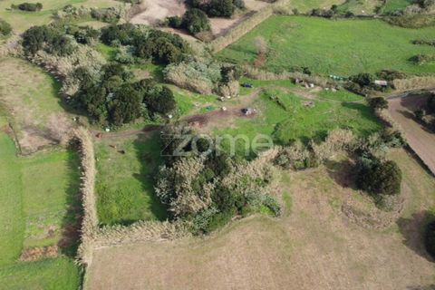 Terra a Ribeirinha, Sao Miguel, Ribeirinha - € 180.000 | Ref: ZMPT562939 - foto 6