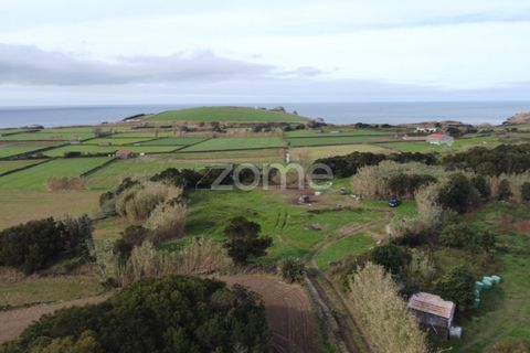 Terra a Ribeirinha, Sao Miguel, Ribeirinha - € 180.000 | Ref: ZMPT562939 - foto 7