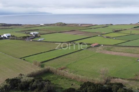Terra a Ribeirinha, Sao Miguel, Ribeirinha - € 180.000 | Ref: ZMPT562939 - foto 8