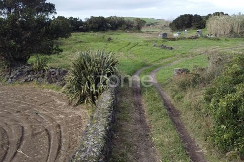 Terra a Ribeirinha, Sao Miguel, Ribeirinha - € 180.000 | Ref: ZMPT562939 - foto 9