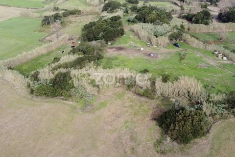 Terra a Ribeirinha, Sao Miguel, Ribeirinha - € 180.000 | Ref: ZMPT562939 - foto 12