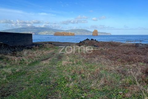 Helårsgrund i Madalena, Pico, Madalena - € 150.000 | Ref: ZMPT554999 - foto 7
