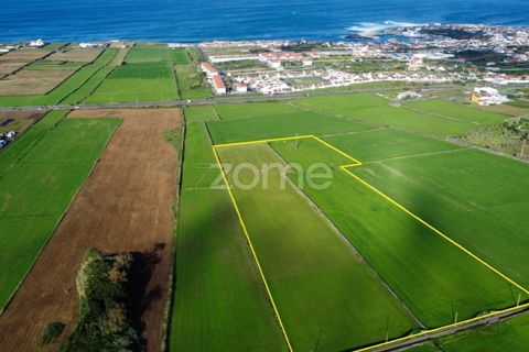 Terra a Rabo de Peixe, Sao Miguel, Rabo de Peixe - € 549.500 | Ref: ZMPT553778 - foto 2