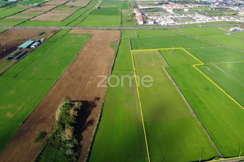 Terra a Rabo de Peixe, Sao Miguel, Rabo de Peixe - € 549.500 | Ref: ZMPT553778 - foto 3