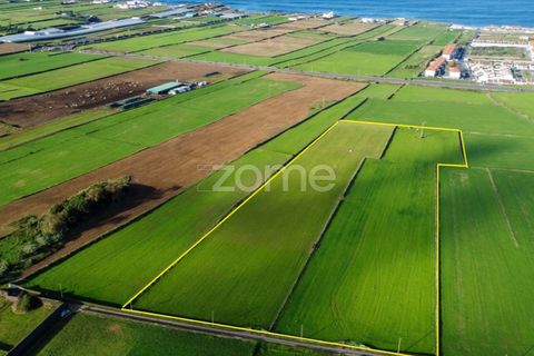 Terra a Rabo de Peixe, Sao Miguel, Rabo de Peixe - € 549.500 | Ref: ZMPT553778 - foto 7