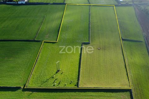 Terra a Rabo de Peixe, Sao Miguel, Rabo de Peixe - € 549.500 | Ref: ZMPT553778 - foto 9