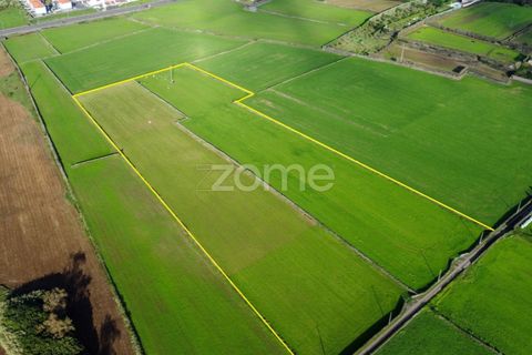 Terra a Rabo de Peixe, Sao Miguel, Rabo de Peixe - € 549.500 | Ref: ZMPT553778 - foto 4