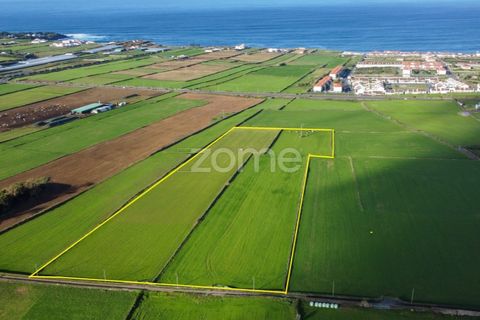 Terra a Rabo de Peixe, Sao Miguel, Rabo de Peixe - € 549.500 | Ref: ZMPT553778 - foto 10
