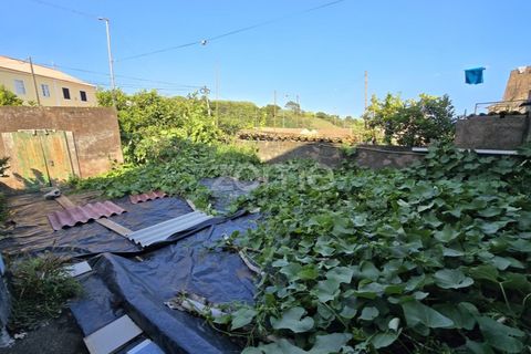 Villa i Topo, Sao Jorge, Topo - € 130.000 | Ref: ZMPT570005 - foto 15