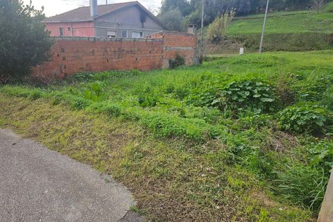 Helårsgrund i Coimbra, Coimbra, Coimbra - € 45.000 | Ref: C0234-02827 - foto 3