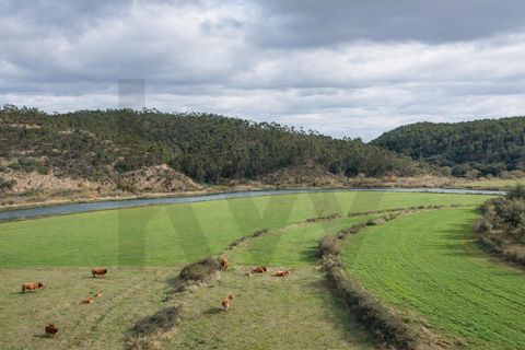 Helårsgrund i Odemira, Beja, Odemira - € 2.375.000 | Ref: KWPT-025320 - foto 11