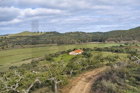 Helårsgrund i Odemira, Beja, Odemira - € 2.375.000 | Ref: KWPT-025320 - foto 4