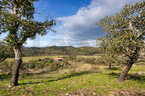 Helårsgrund i Odemira, Beja, Odemira - € 2.375.000 | Ref: KWPT-025320 - foto 14