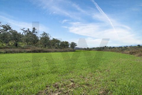 Helårsgrund i Odemira, Beja, Odemira - € 2.375.000 | Ref: KWPT-025320 - foto 10