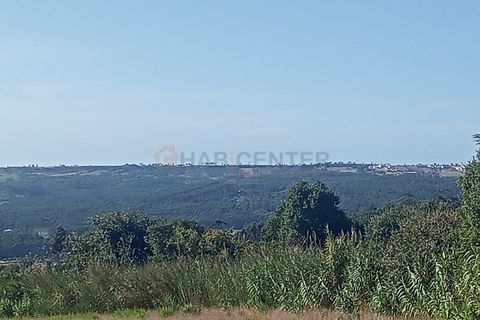 Helårsgrund i Nazare, Leiria, Nazare - € 30.000 | Ref: SÒL_45 - foto 3