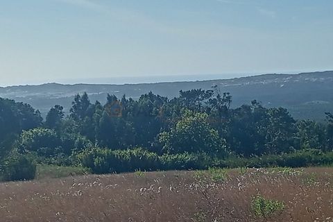 Helårsgrund i Nazare, Leiria, Nazare - € 30.000 | Ref: SÒL_45 - foto 4