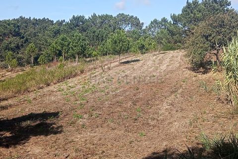 Helårsgrund i Nazare, Leiria, Nazare - € 30.000 | Ref: SÒL_45 - foto 5