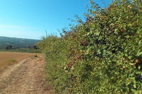 Helårsgrund i Nazare, Leiria, Nazare - € 30.000 | Ref: SÒL_45 - foto 6