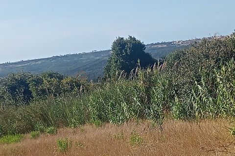 Helårsgrund i Nazare, Leiria, Nazare - € 30.000 | Ref: SÒL_45 - foto 8
