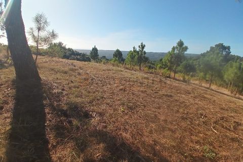 Helårsgrund i Nazare, Leiria, Nazare - € 30.000 | Ref: SÒL_45 - foto 9