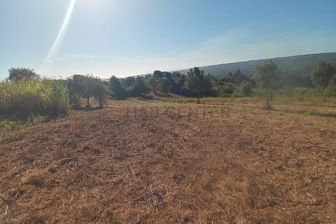Helårsgrund i Nazare, Leiria, Nazare - € 30.000 | Ref: SÒL_45 - foto 10