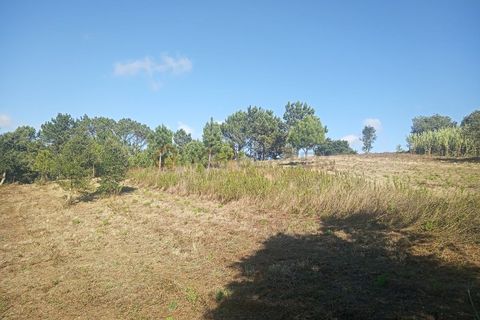 Helårsgrund i Nazare, Leiria, Nazare - € 30.000 | Ref: SÒL_45 - foto 11