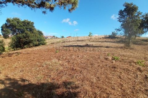 Helårsgrund i Nazare, Leiria, Nazare - € 30.000 | Ref: SÒL_45 - foto 12