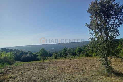Helårsgrund i Nazare, Leiria, Nazare - € 30.000 | Ref: SÒL_45 - foto 13