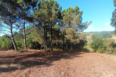 Helårsgrund i Nazare, Leiria, Nazare - € 30.000 | Ref: SÒL_45 - foto 14