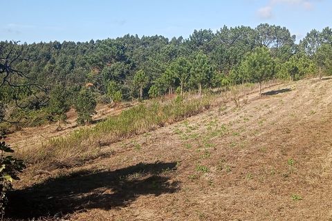 Helårsgrund i Nazare, Leiria, Nazare - € 30.000 | Ref: SÒL_45 - foto 15